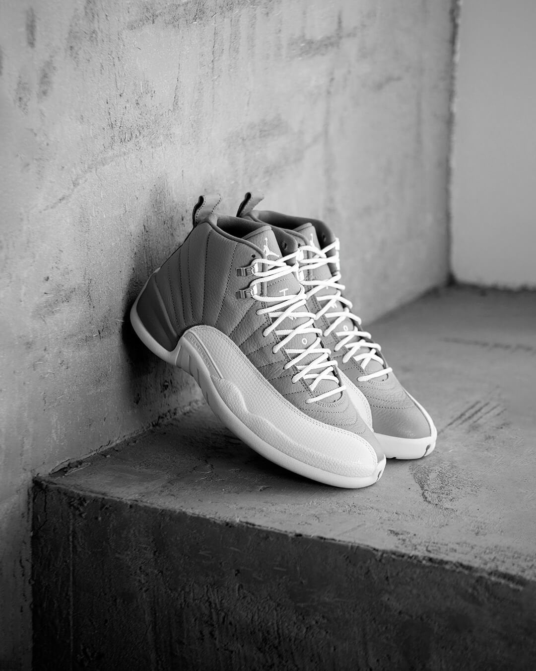 Air Jordan 12 x Stealth
