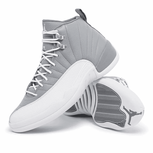 Air Jordan 12 x Stealth