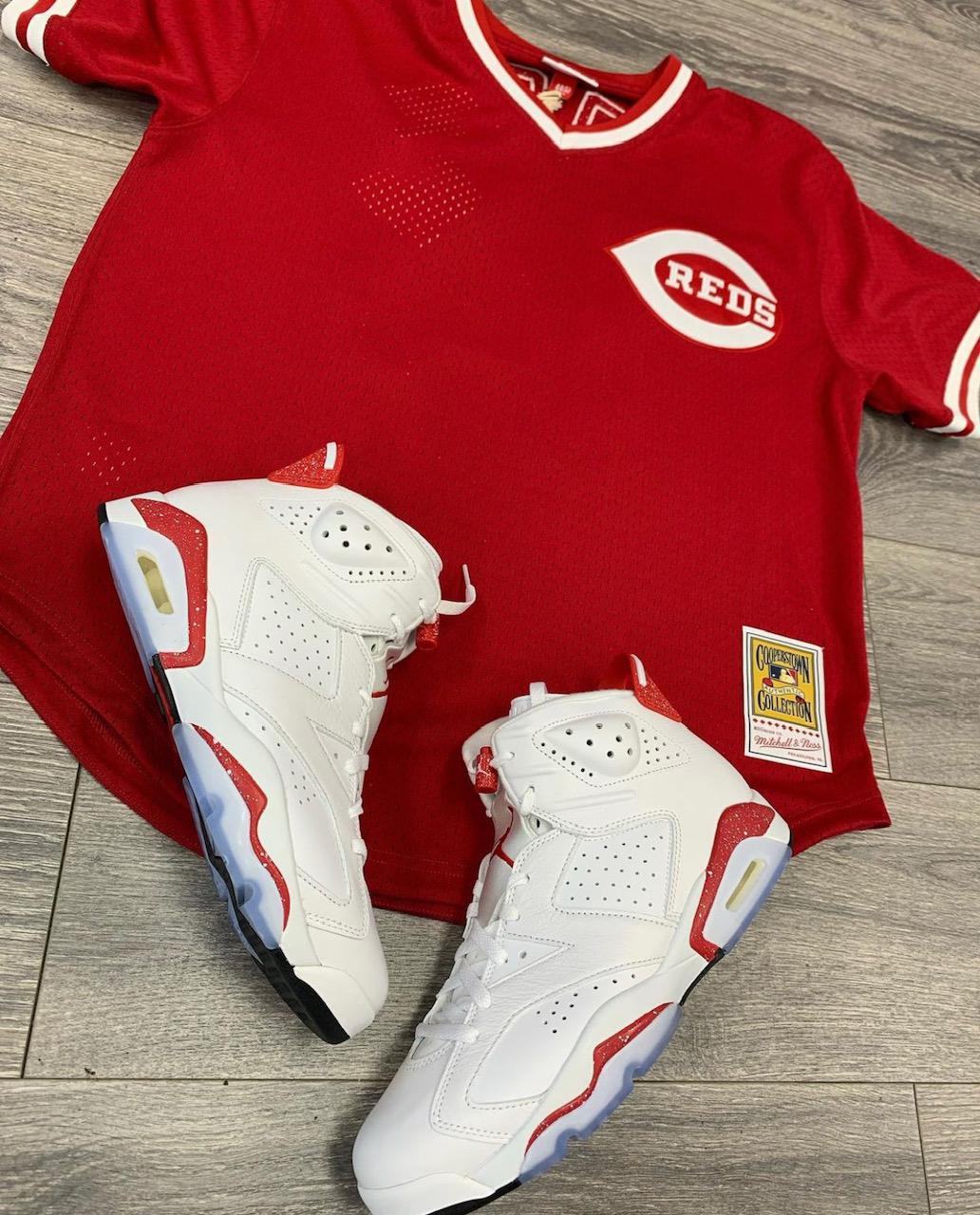 Air Jordan 6 Red Oreo GS