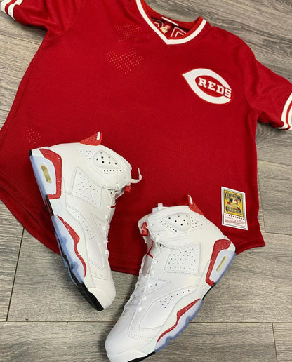 Air Jordan 6 Red Oreo GS